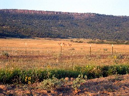 View of back country from the PTC